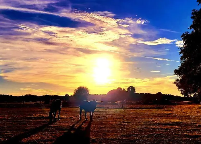 Neu Luxurioeses Tinyhaus Freyr Einmalig In