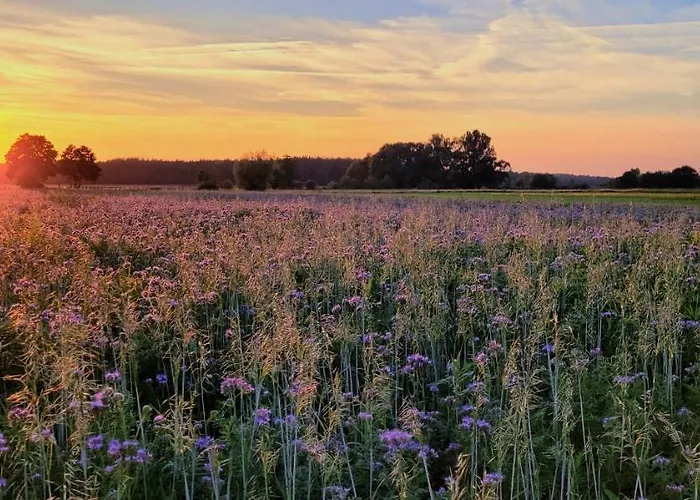 Lägenhet Neu Luxurioeses Tinyhaus Freyr Einmalig In *