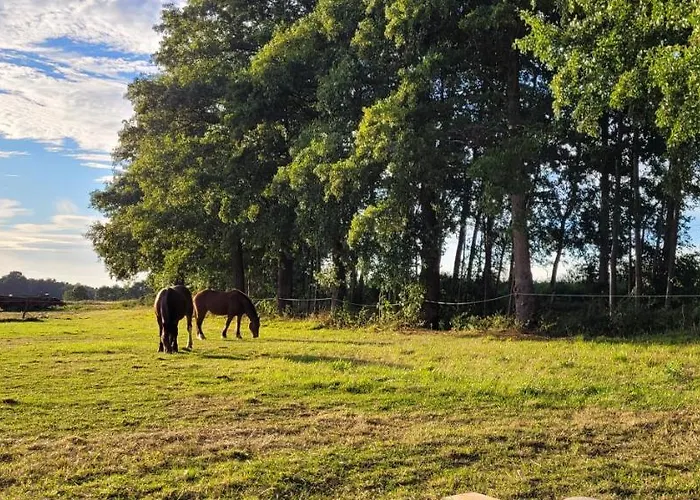 Lägenhet Neu Luxurioeses Tinyhaus Freyr Einmalig In