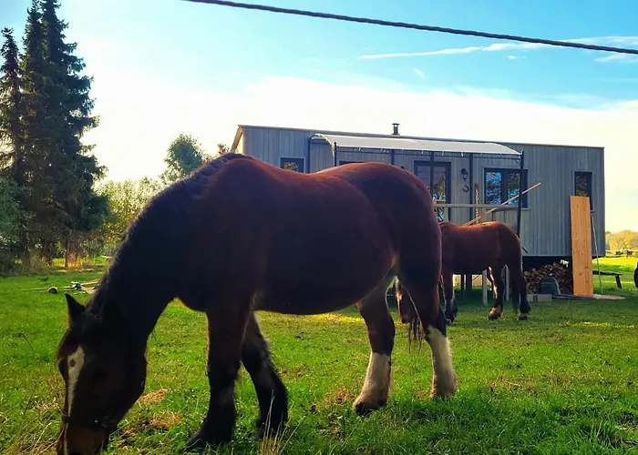 Neu Luxurioeses Tinyhaus Freyr Einmalig In Lägenhet